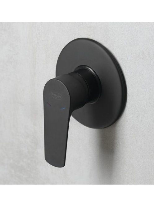 Aqualine LOTTA falba süllyesztett matt fekete zuhanycsaptele