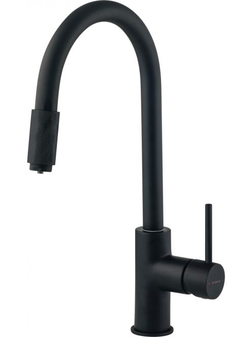 Deante Aster mosogató csaptelep vízszűrő csatlakozással, mat