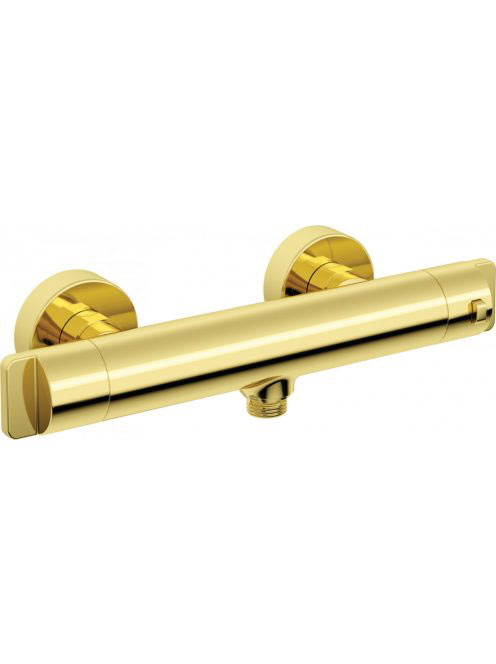 Deante termosztátos zuhanycsaptelep visszacsapó szelepekkel,