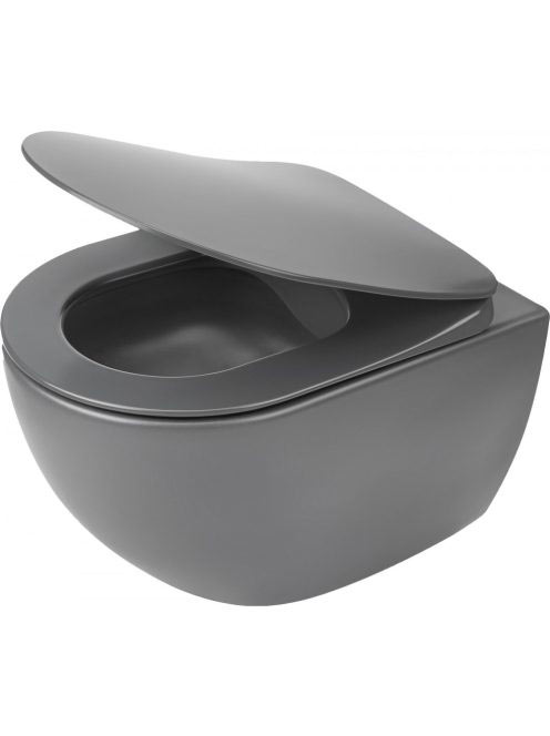 Deante Peonia perem nélküli fali WC csésze titánium CDE DZPW