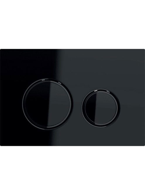 Geberit Sigma21 működtetőlap, 2 mennyiséges öblítéshez, feke