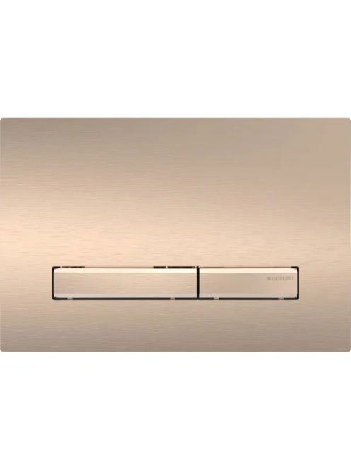 Geberit Sigma50 működtetőlap, 2 mennyiséges öblítés, easy-to