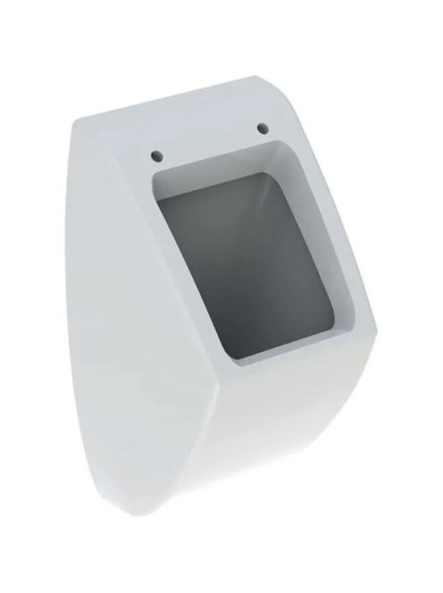 Geberit Pareo fedeles kivitelű vizelde, hátsó bekötésű, háts