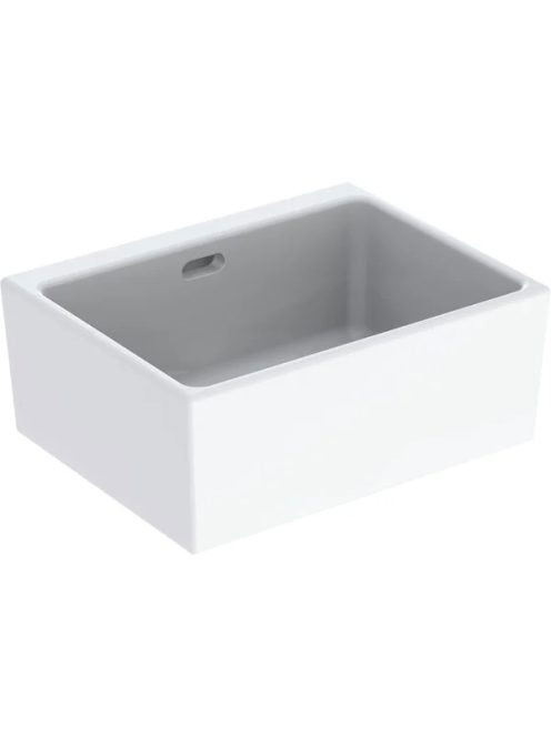 Geberit Publica univerzális öblítőmede 50x39cm, túlfolyóval