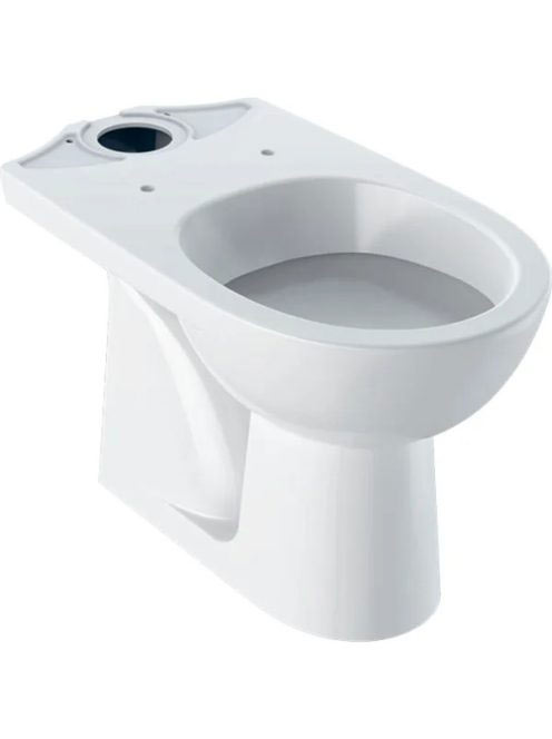 Geberit Selnova álló monoblokk WC csésze 36x67 cm mélyöblíté