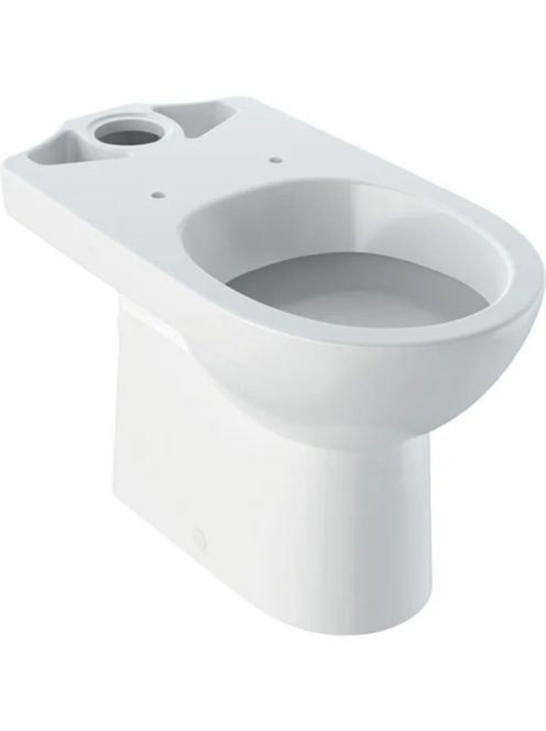 Geberit Selnova álló monoblokk WC csésze 36x68,5 cm mélyöblí