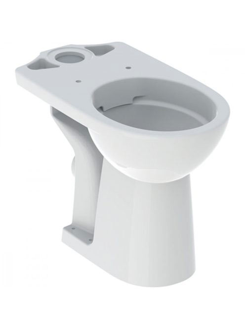 Geberit Selnova mélyöblítésű kerámia álló monoblokk WC csész