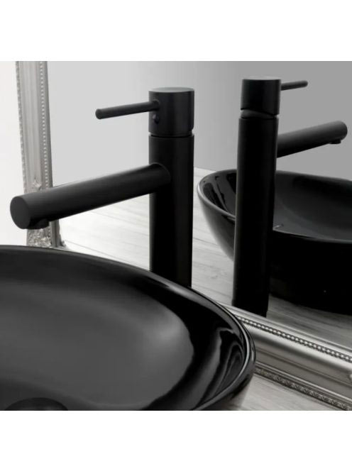 Rea Tess magas fürdőszobai csaptelep, fekete REA-B0229 - Für