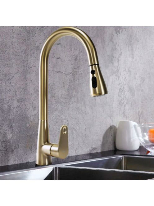 Rea Mild álló konyhai csaptelep kihúzható zuhanyfejjel, fény