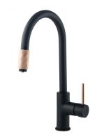 Deante Aster mosogató csaptelep vízszűrő csatlakozással BCA