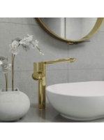 Deante Arnika egykaros magasított mosdó csaptelep forgatható